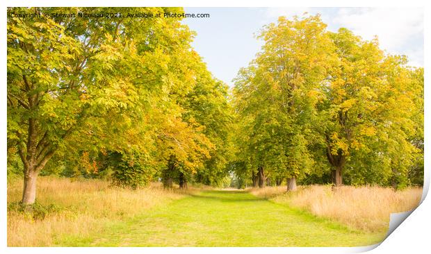 An Autumnal Walk In The Kent Countryside  Print by Stewart Nicolaou