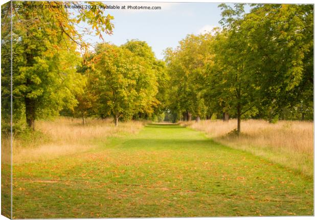 An Autumnal Walk In The Garden of England Canvas Print by Stewart Nicolaou