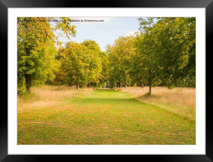 An Autumnal Walk In The Garden of England Framed Mounted Print by Stewart Nicolaou
