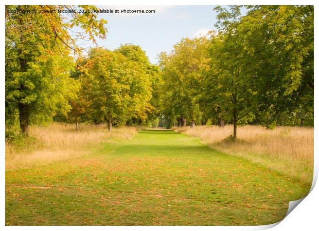 An Autumnal Walk In The Garden of England Print by Stewart Nicolaou