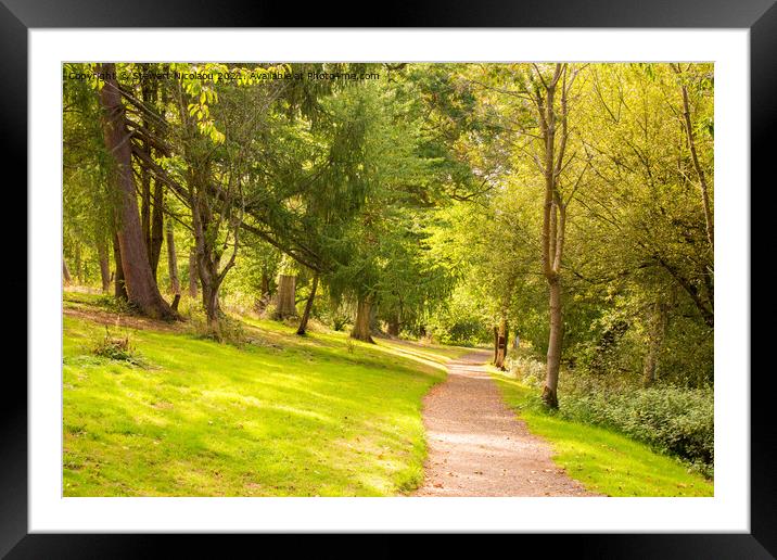 Autumnal Woodland walk in the Garden of England Framed Mounted Print by Stewart Nicolaou