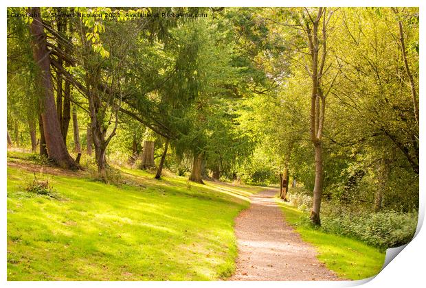 Autumnal Woodland walk in the Garden of England Print by Stewart Nicolaou