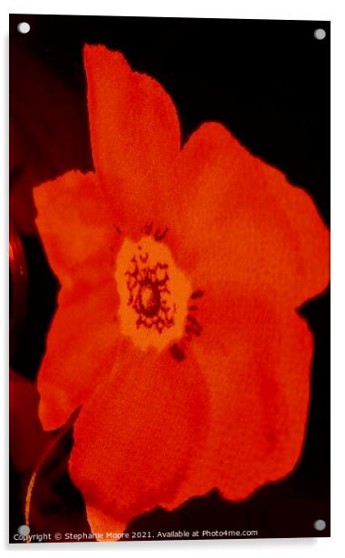 Red Poppy Acrylic by Stephanie Moore