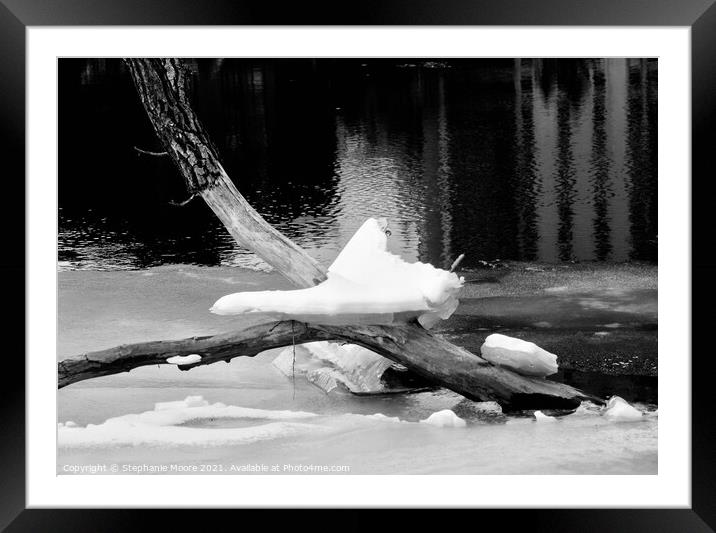Balancing Act Framed Mounted Print by Stephanie Moore