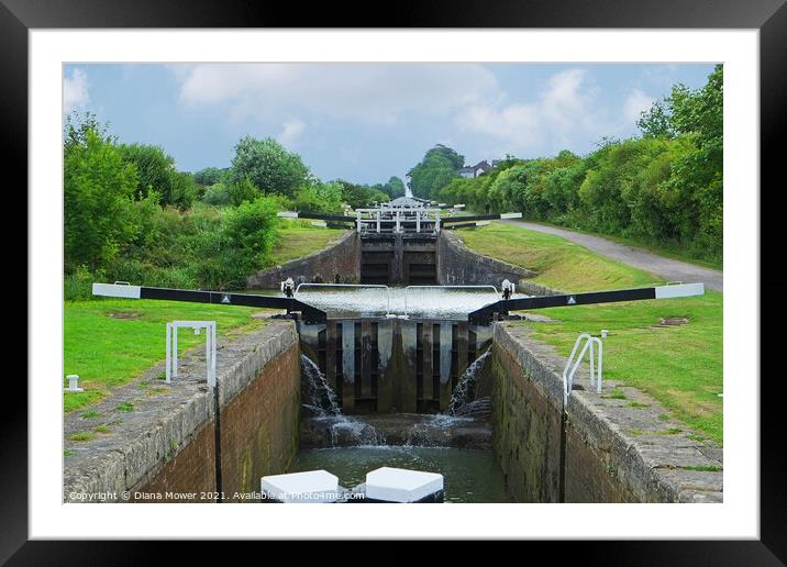 Caen Hill locks Wiltshire Framed Mounted Print by Diana Mower