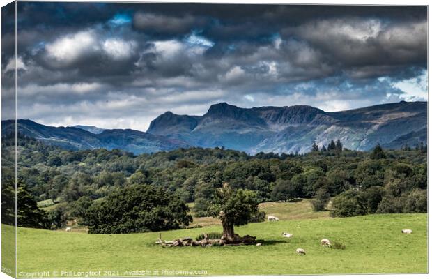 The fields and mountains near Windermere South Lakes.  Canvas Print by Phil Longfoot