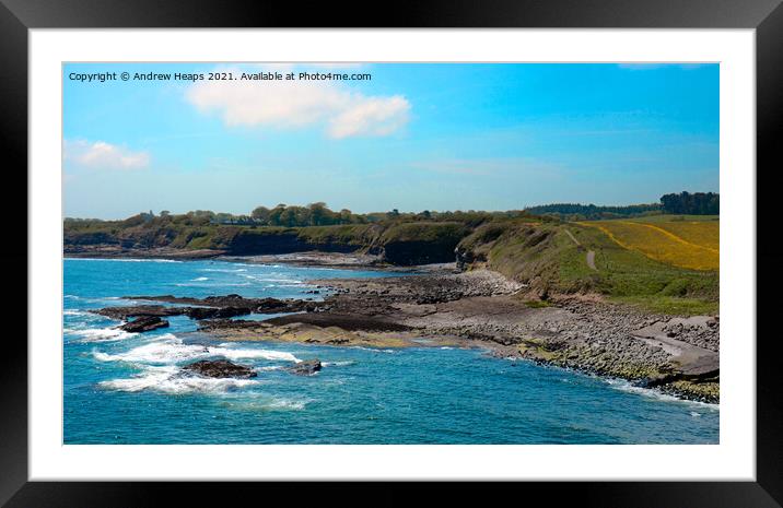 Northumberland coastline. Framed Mounted Print by Andrew Heaps
