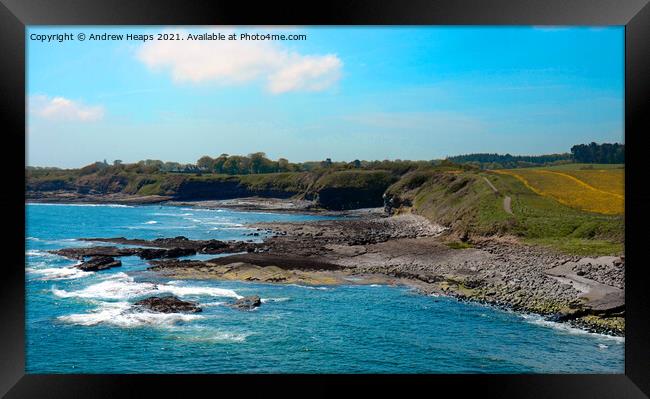 Northumberland coastline. Framed Print by Andrew Heaps