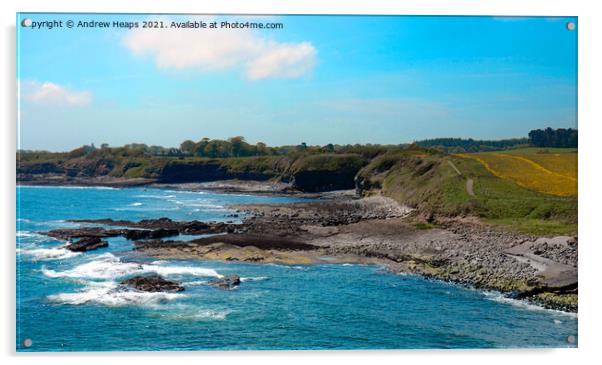 Northumberland coastline. Acrylic by Andrew Heaps
