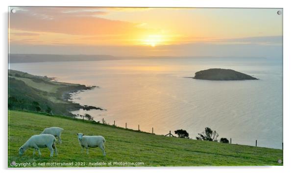 Sheep, Sunrise & Looe Island. Acrylic by Neil Mottershead
