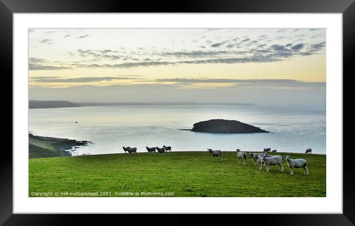 Dawn Over Looe Bay. Framed Mounted Print by Neil Mottershead