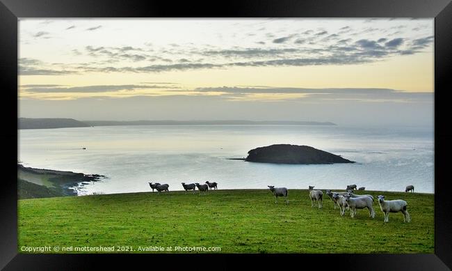 Dawn Over Looe Bay. Framed Print by Neil Mottershead