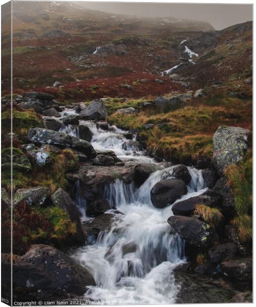 Winter Afon Lloer, Ogwen Valley Canvas Print by Liam Neon