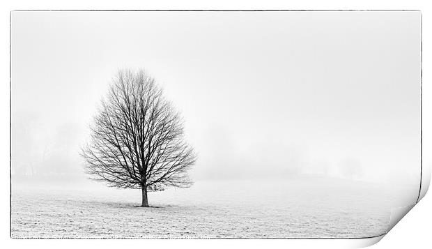 Tree in the Mist Print by Stuart Chapman