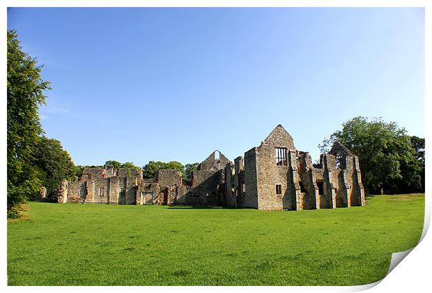 Netley Abbey Ruins Print by kelly Draper