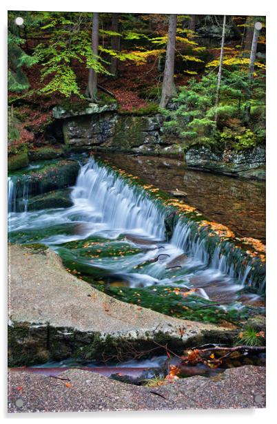Tranquil Autumn Stream with Waterfall Acrylic by Artur Bogacki
