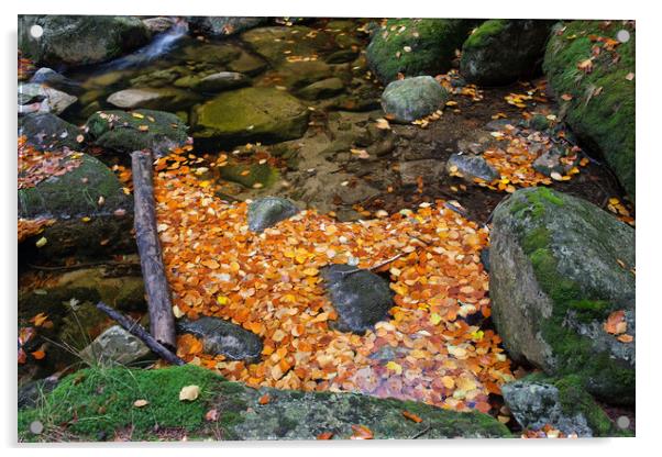 Autumn Leaves In Stream Acrylic by Artur Bogacki