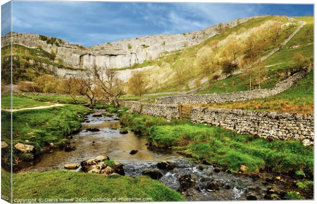Malham Cove and Beck Yorkshire Dales Canvas Print by Diana Mower