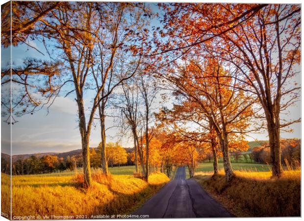October Road Canvas Print by Viv Thompson
