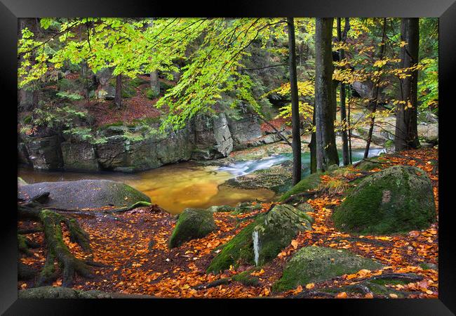Stream in Autumn Forest Framed Print by Artur Bogacki