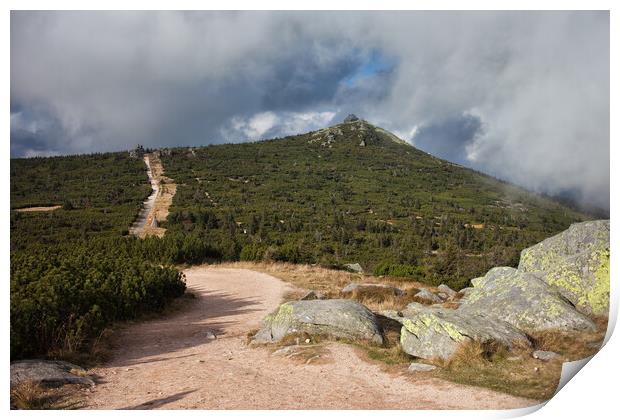 Trail to Szrenica Mountain Print by Artur Bogacki