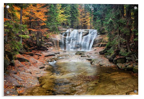 Mumlava Waterfall in Autumn Forest Acrylic by Artur Bogacki