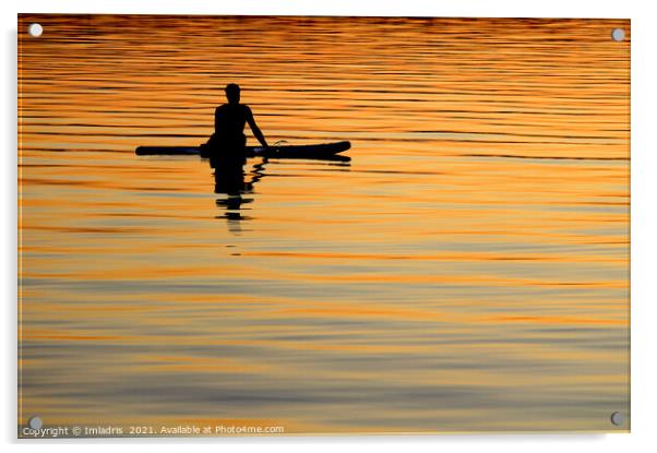 Silhouetted paddle boarder peaceful sunset Acrylic by Imladris 