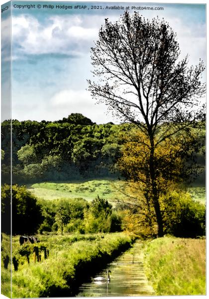 Edge of the Somerset Levels Canvas Print by Philip Hodges aFIAP ,