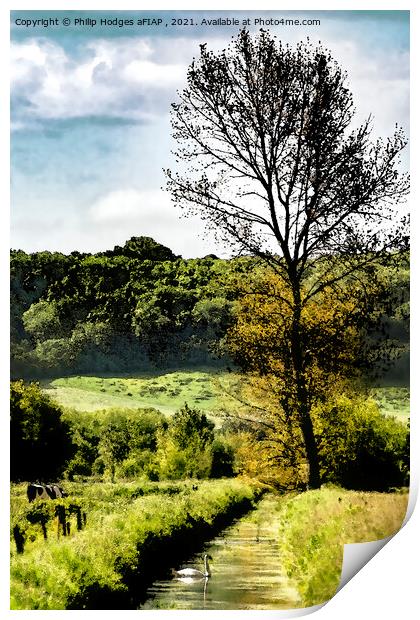 Edge of the Somerset Levels Print by Philip Hodges aFIAP ,