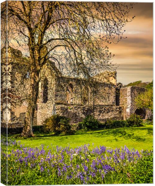 St Davids Abbey, Pembrokeshire, Wales, UK Canvas Print by Mark Llewellyn