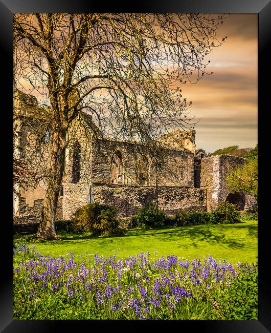 St Davids Abbey, Pembrokeshire, Wales, UK Framed Print by Mark Llewellyn
