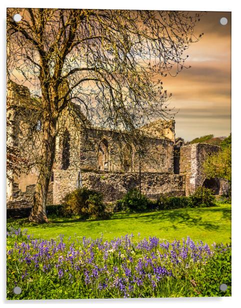 St Davids Abbey, Pembrokeshire, Wales, UK Acrylic by Mark Llewellyn