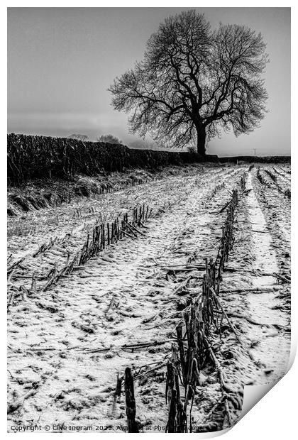 Alone in winter Print by Clive Ingram