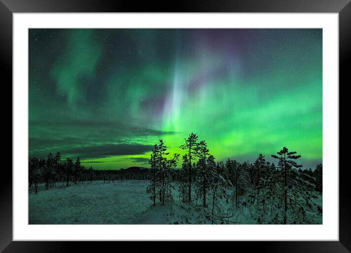 Northern Lights Framed Mounted Print by Arterra 