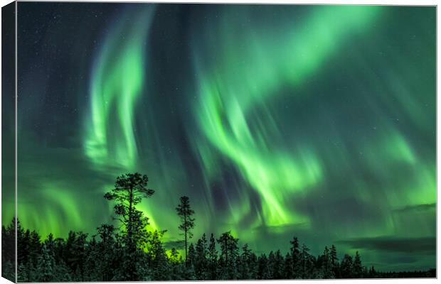 Northern Lights in Sweden Canvas Print by Arterra 