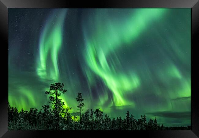 Northern Lights in Sweden Framed Print by Arterra 