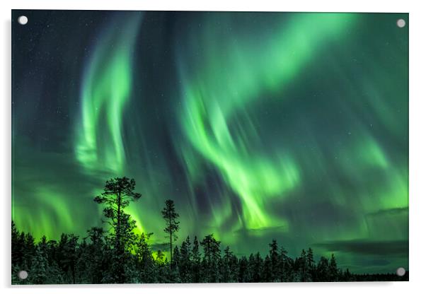 Northern Lights in Sweden Acrylic by Arterra 