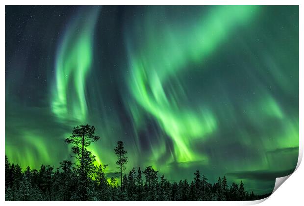 Northern Lights in Sweden Print by Arterra 