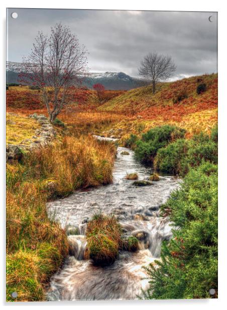 Moorland Stream Ben Rinnes Scotland Acrylic by OBT imaging