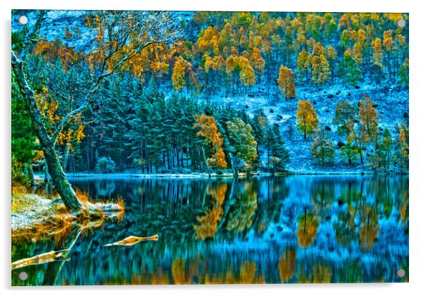 Loch Pityoulish, Cairngorms National Park Acrylic by David Ross