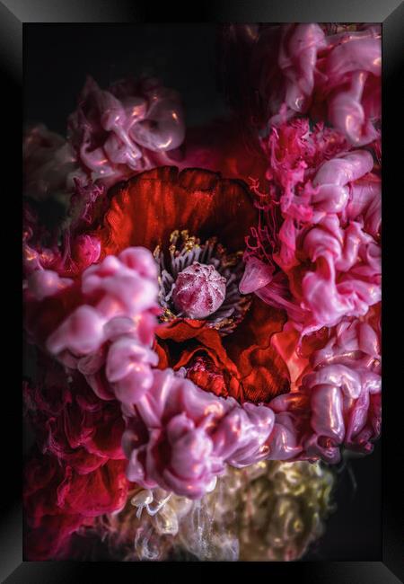 Liquid flower Framed Print by Steffen Gierok-Latniak