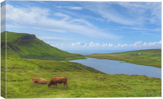 Isle Of Skye Beyond Glendale Scotland Canvas Print by OBT imaging