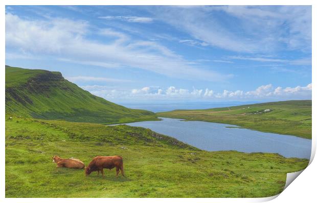 Isle Of Skye Beyond Glendale Scotland Print by OBT imaging