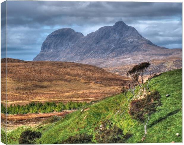 Suliven From Inchnadamph Late Autumn Scotland  Canvas Print by OBT imaging