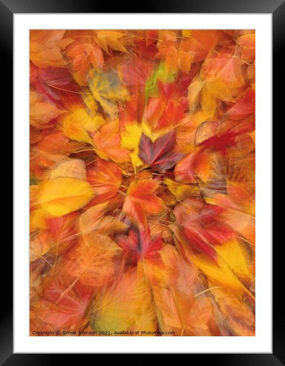 Autumn leaf collage Framed Mounted Print by Simon Johnson