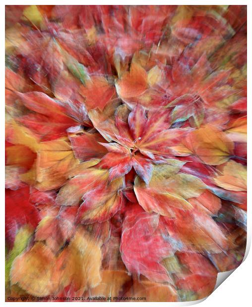 autumn collage frosted Print by Simon Johnson