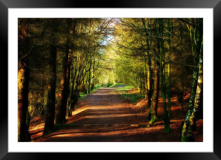 The Pathway Framed Mounted Print by Irene Burdell