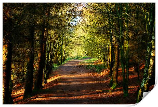 The Pathway Print by Irene Burdell