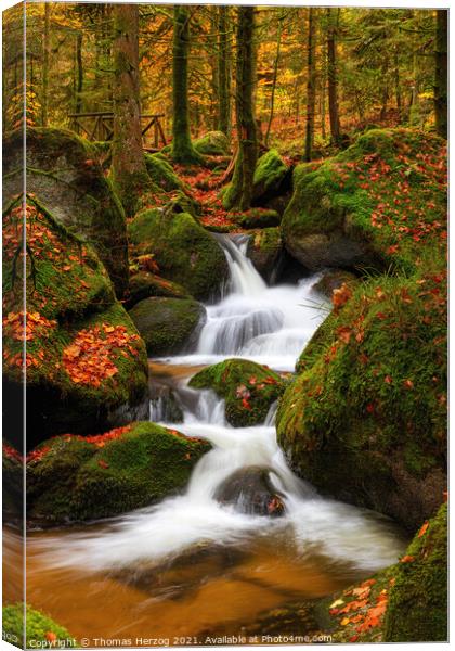 A waterfall in a forest Canvas Print by Thomas Herzog