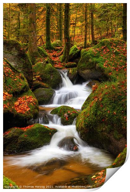 A waterfall in a forest Print by Thomas Herzog